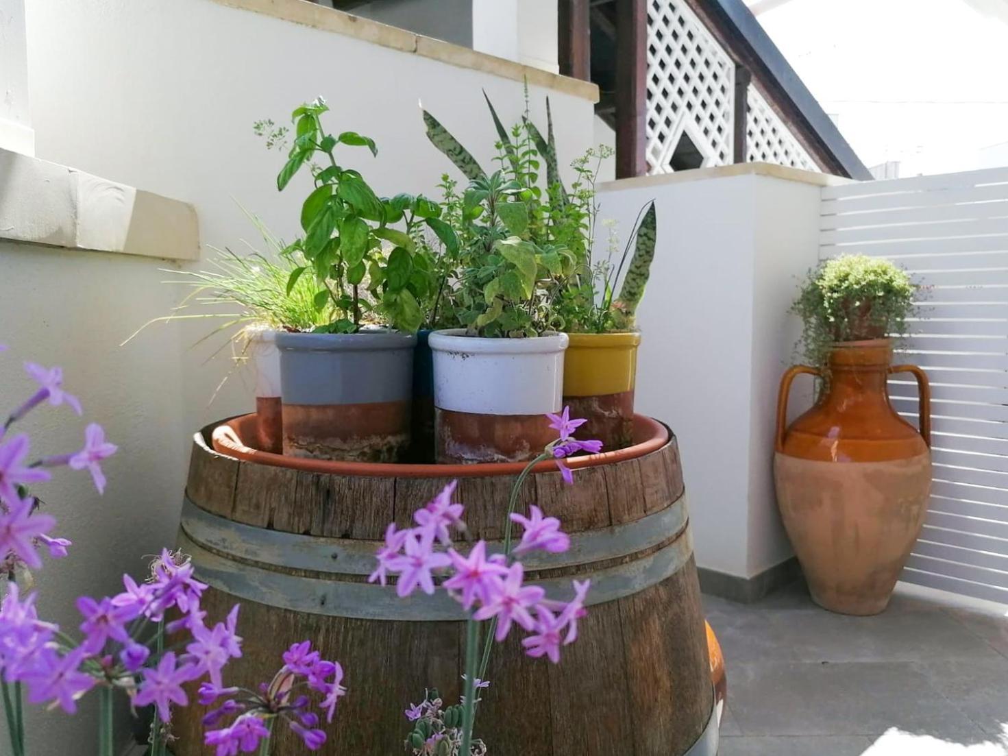 Casa Flora - Bed And Breakfast Torre San Giovanni Ugento Zewnętrze zdjęcie